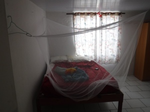 Mosquito Netting is a requirment